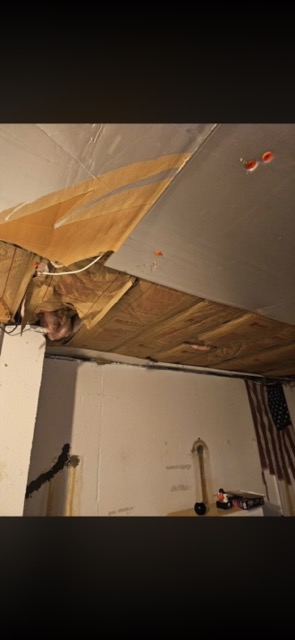 Old insulation hanging from the ceiling before a rip-out in Flat Rock, MI
